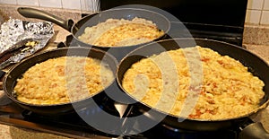 The typical dish called FRICO Of the Italian region of Friuli