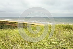 Typical dutch coastal landscape with sea, beach, waves, horizon, marram grass