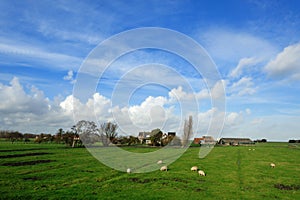 Typical Dutch country landscape in Marken