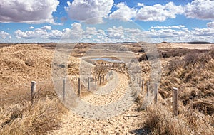 Typical Dutch dune landscape that is part of the Zuid Kennemerland National Park photo