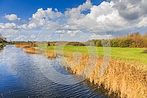 Typical Dutch flat polder landscape