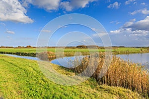 Typical Dutch flat polder landscape