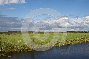 Typical Dutch green landscape with cloudy sky