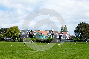 Typical Dutch houses in Marken photo