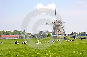 Typical dutch landscape