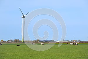 Typical Dutch landscape