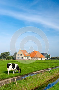 Typical dutch landscape