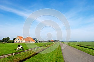 Typical dutch landscape