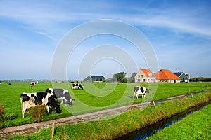 Typical dutch landscape photo