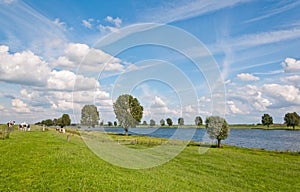 A typical Dutch landscape