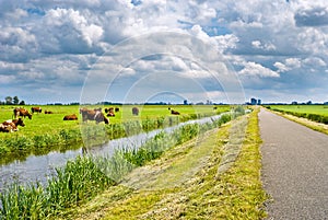 Typical Dutch Landscape