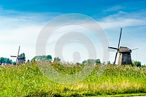 Typical Dutch landscape