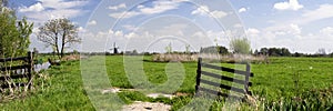 Typical dutch landscape with meadows, wooden fence, mill, green grass, blue sky, white clouds