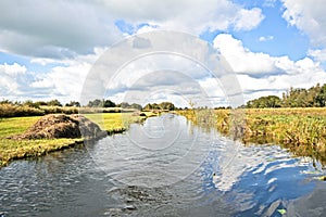 Typical dutch landscape in Netherlands