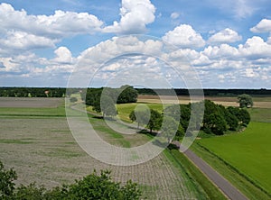 Typical dutch landscape