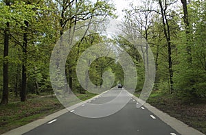 Typical dutch nature on a spring day