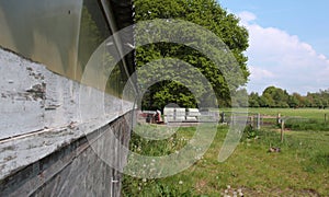 Typical dutch nature on a spring day