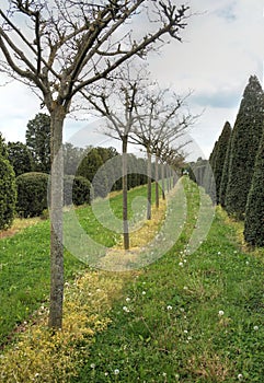 Typical dutch nature on a spring day