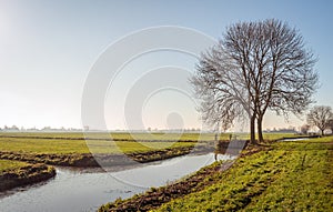 Typical Dutch polder landscape in the Alblasserwaard photo