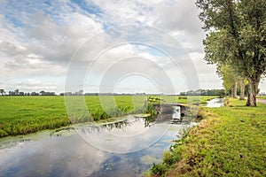 Typical Dutch polder landscape