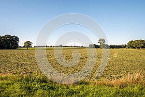 Typical Dutch Summer landscape in July near Delden Twente, Overijssel