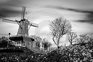 Typical Dutch windmill in Alkmaar, black and white landscape