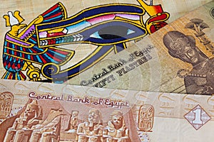 Typical Egyptian papyrus and different banknotes