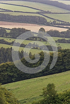 Typical English countryside view