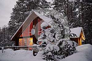 Typical expensive cottage house in a winter pine forest, surrounded by snow-covered pine trees, in the foreground a Christmas tree