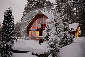 Typical expensive cottage house in a winter pine forest, surrounded by snow-covered pine trees, in the foreground a Christmas tree