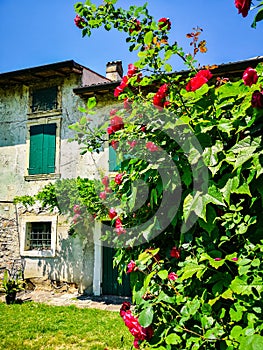 Typical farm house in the green countryside of the hills of Veneto, Italy