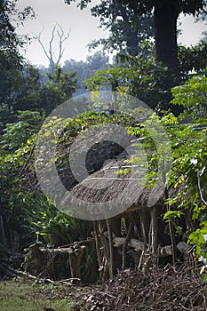 Typical farm in nepali country side