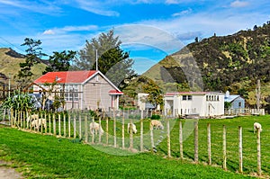 Typical farm in Whanganui National Park, New Zealand