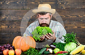 Typical farmer guy. Buy vegetables local farm. Farm market harvest festival. Man mature bearded farmer hold vegetables