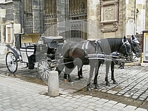 Typical Fiaker carriage in the old town of the austrian capital