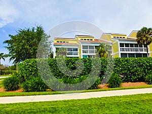 Typical Florida home in the countryside with palm trees, tropical plants and flowers