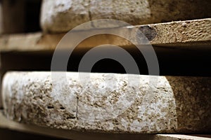 Typical French Comte cheese wheel crusts aging for months, closeup