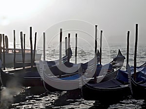 Typical gondolas in Venice with fog