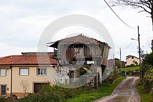 Typical granary horreo in the garden in La Espina, Asturias, Spain photo