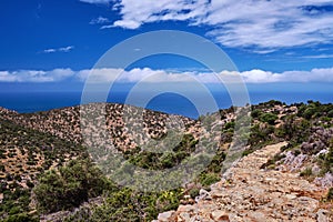 Typical Greek or Cretan landscape, hills and mountains, spring foliage, bush, olive tree, rocky road, path. Akrotiri