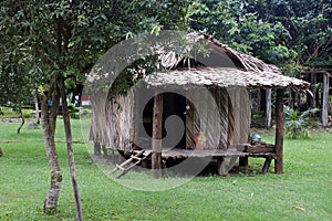 Typical habitaion of native amazon indian photo