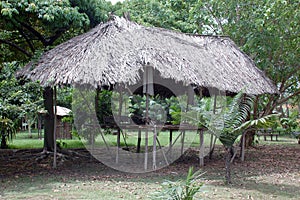 Typical habitation of the native amazon indian