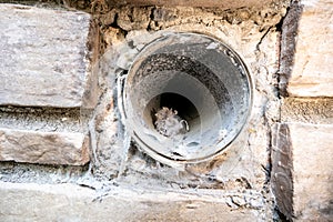 Interior view of dryer vent line with lint and dust buildup photo