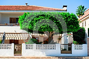 Typical home in San Javier photo