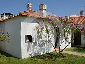 typical house in the Algarve in the village of Pedras del Rei photo