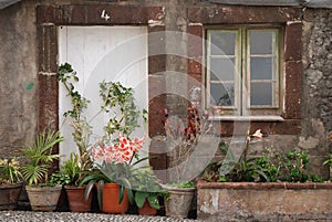 Typical house on madeira