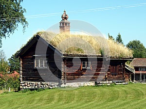 Typical house in Tallberg photo