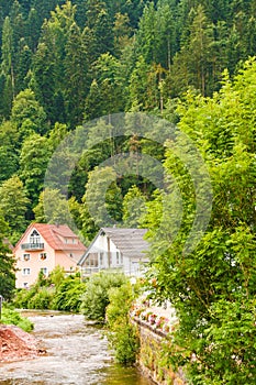 Typical houses of black forest