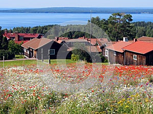 Typical houses in Tallberg photo