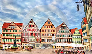 Typical houses in Tubingen - Baden Wurttemberg, Germany